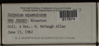 Image Associated With the Occurence